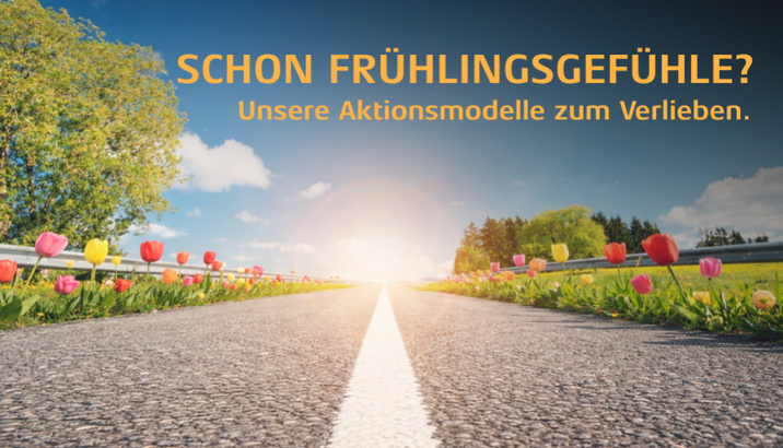 Entdecken Sie jetzt unsere Aktionsmodelle zum Verlieben der Marken VW, Audi, SEAT, Škoda, CUPRA und VW Nutzfahrzeuge.