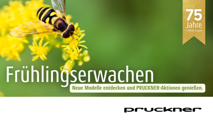 Erleben Sie die Magie neuer Modelle und unwiderstehlicher Aktionen! Frühlingshintergrund mit Biene
