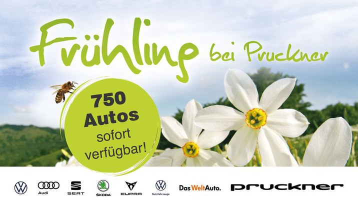 Frühling bei Pruckner