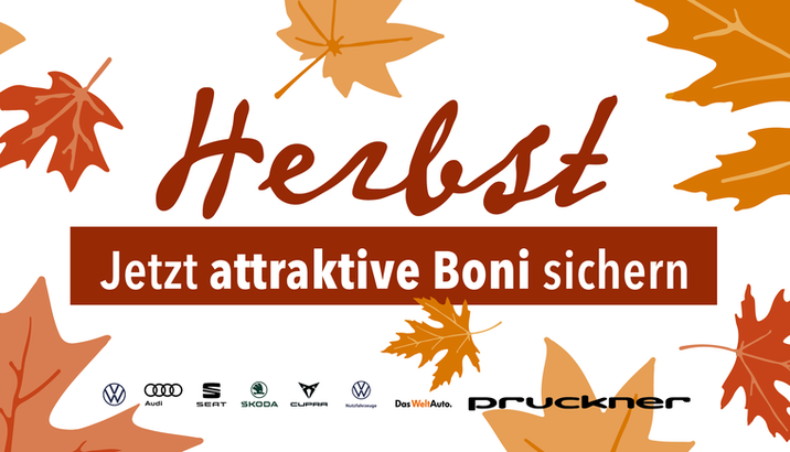 Herbst bei Pruckner